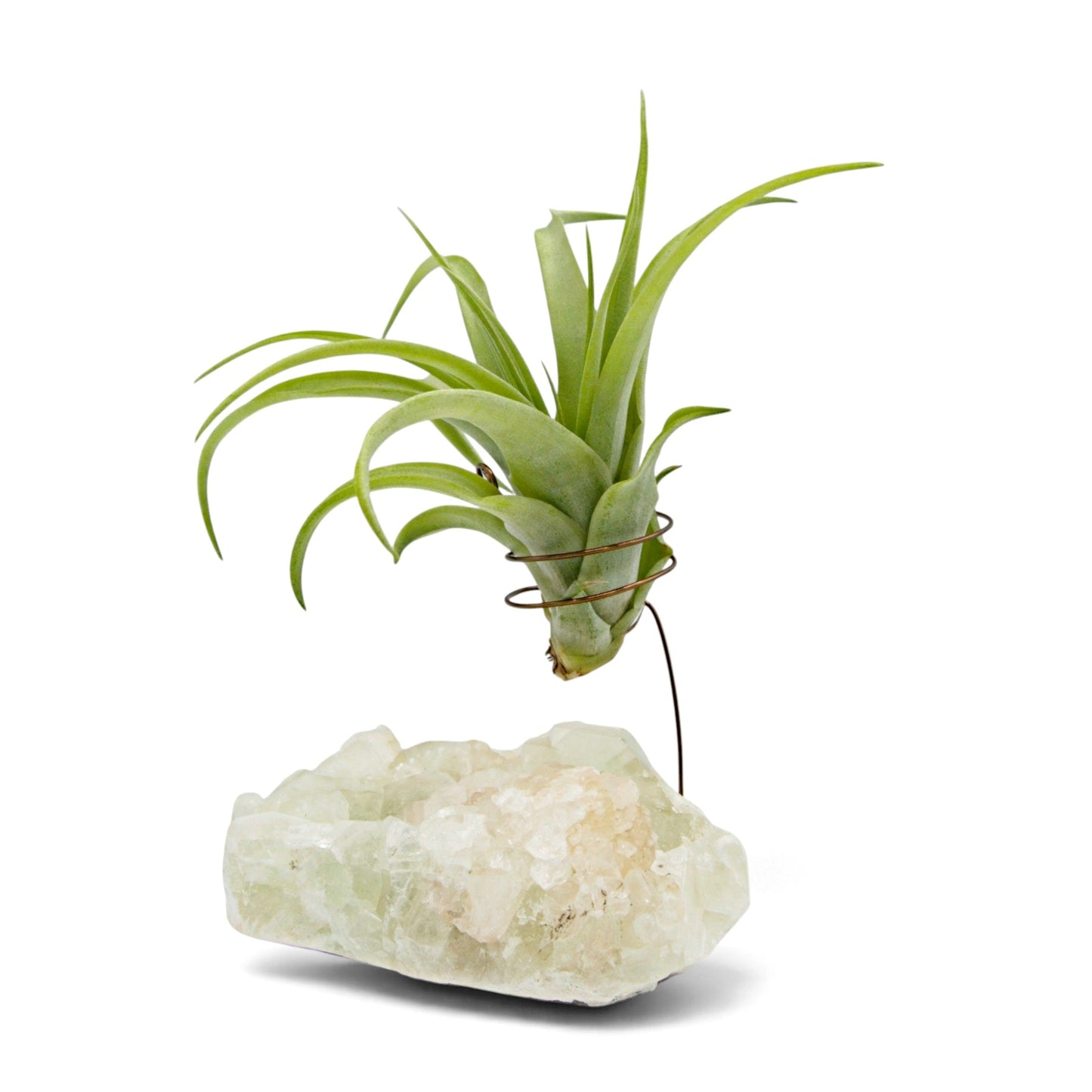 A small green airplant in a wire holder suspended above a white and peachy coloured crystal