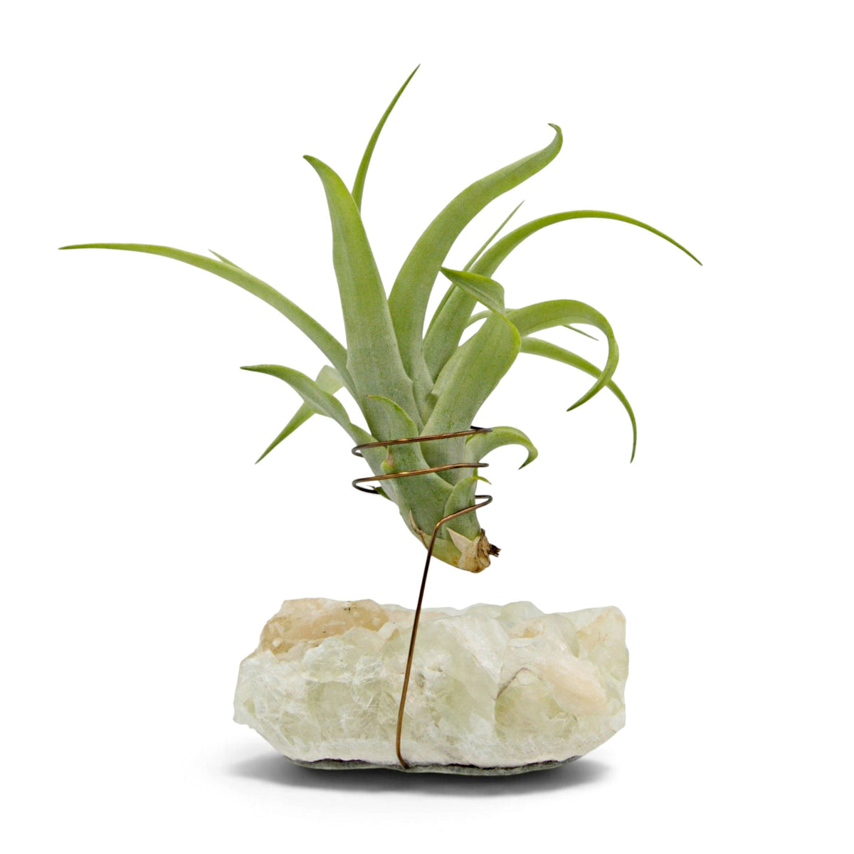 A small green airplant in a wire holder suspended above a white and peachy coloured crystal