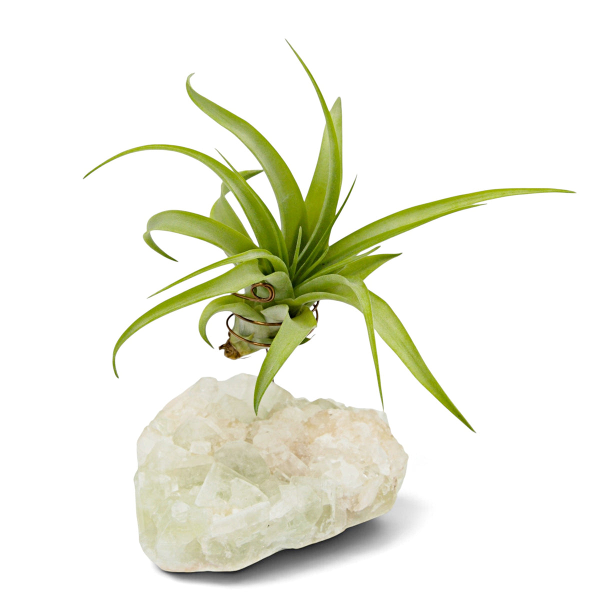A small green airplant in a wire holder suspended above a white and peachy coloured crystal
