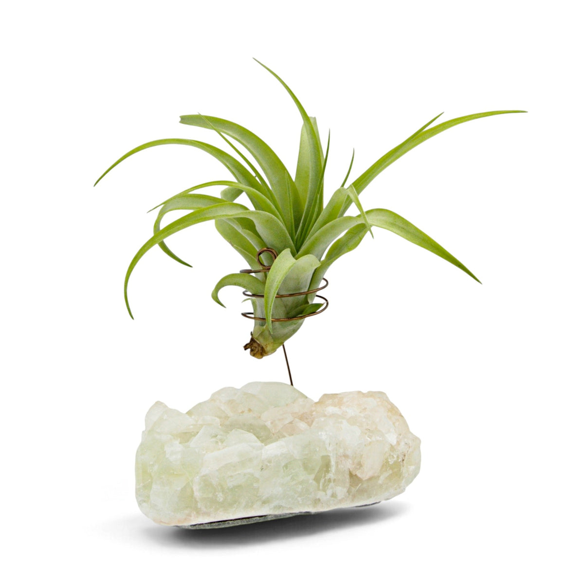 A small green airplant in a wire holder suspended above a white and peachy coloured crystal