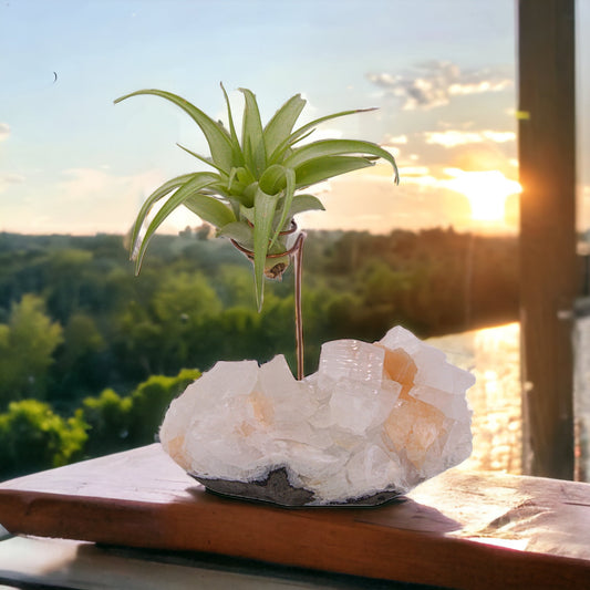 Apophyllite crystal airplant holder