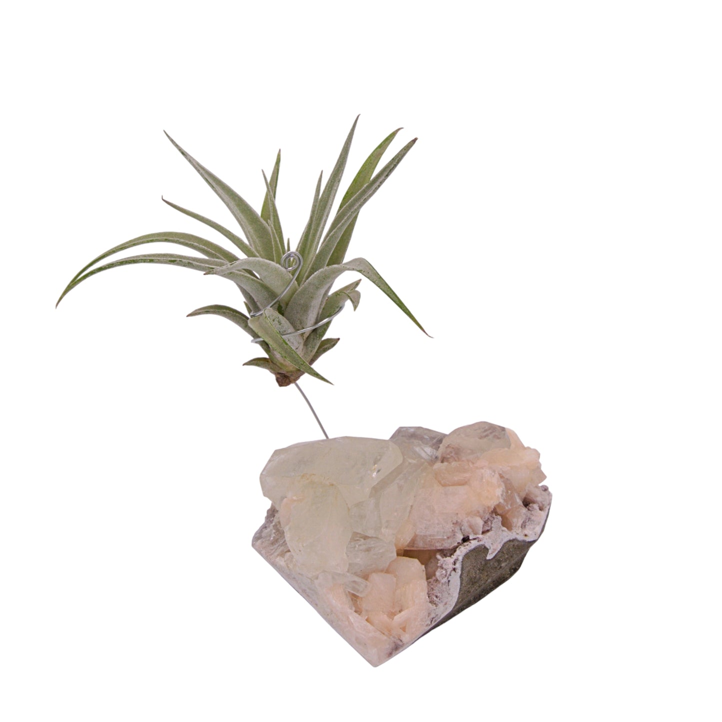 Apophyllite crystal airplant holder