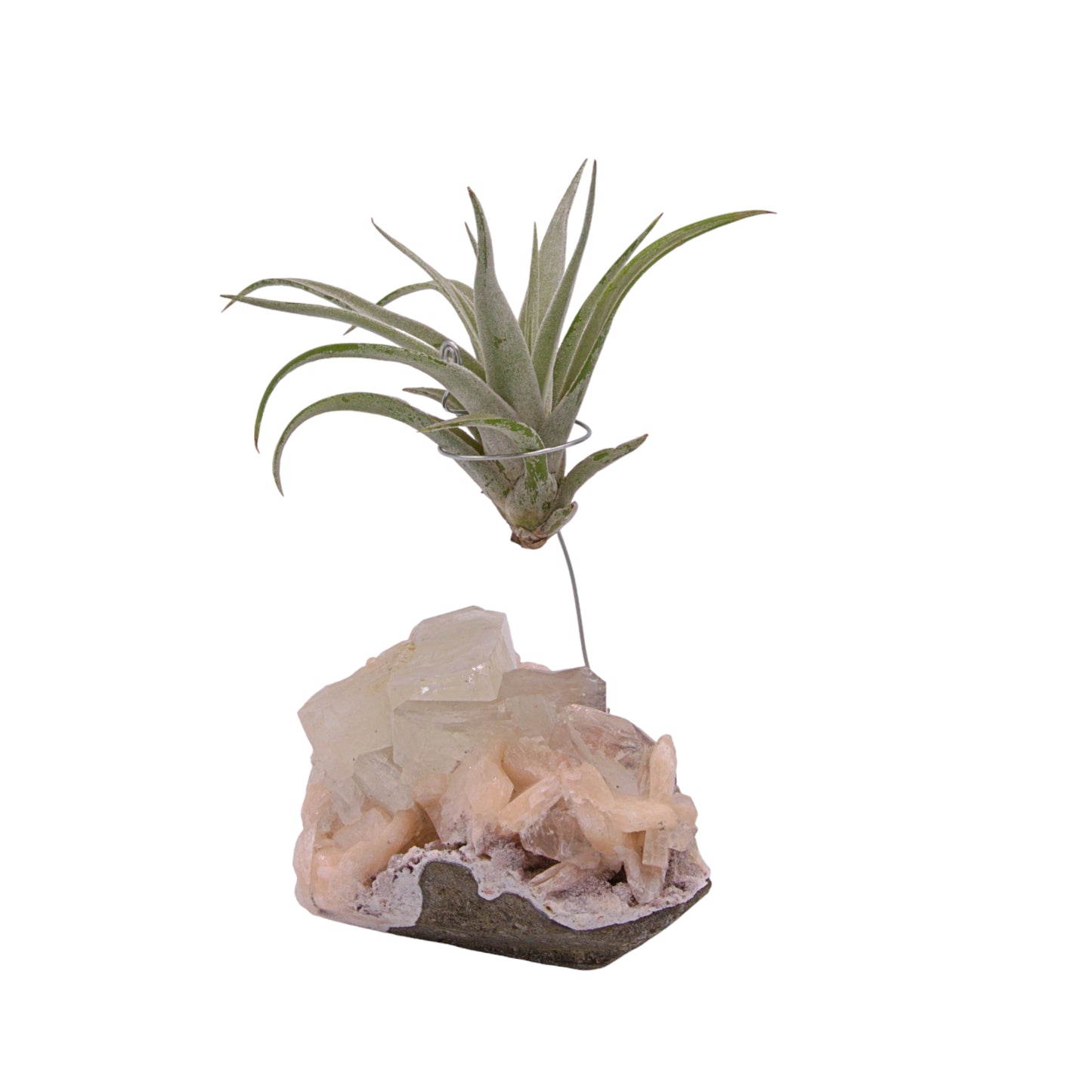 Apophyllite crystal airplant holder