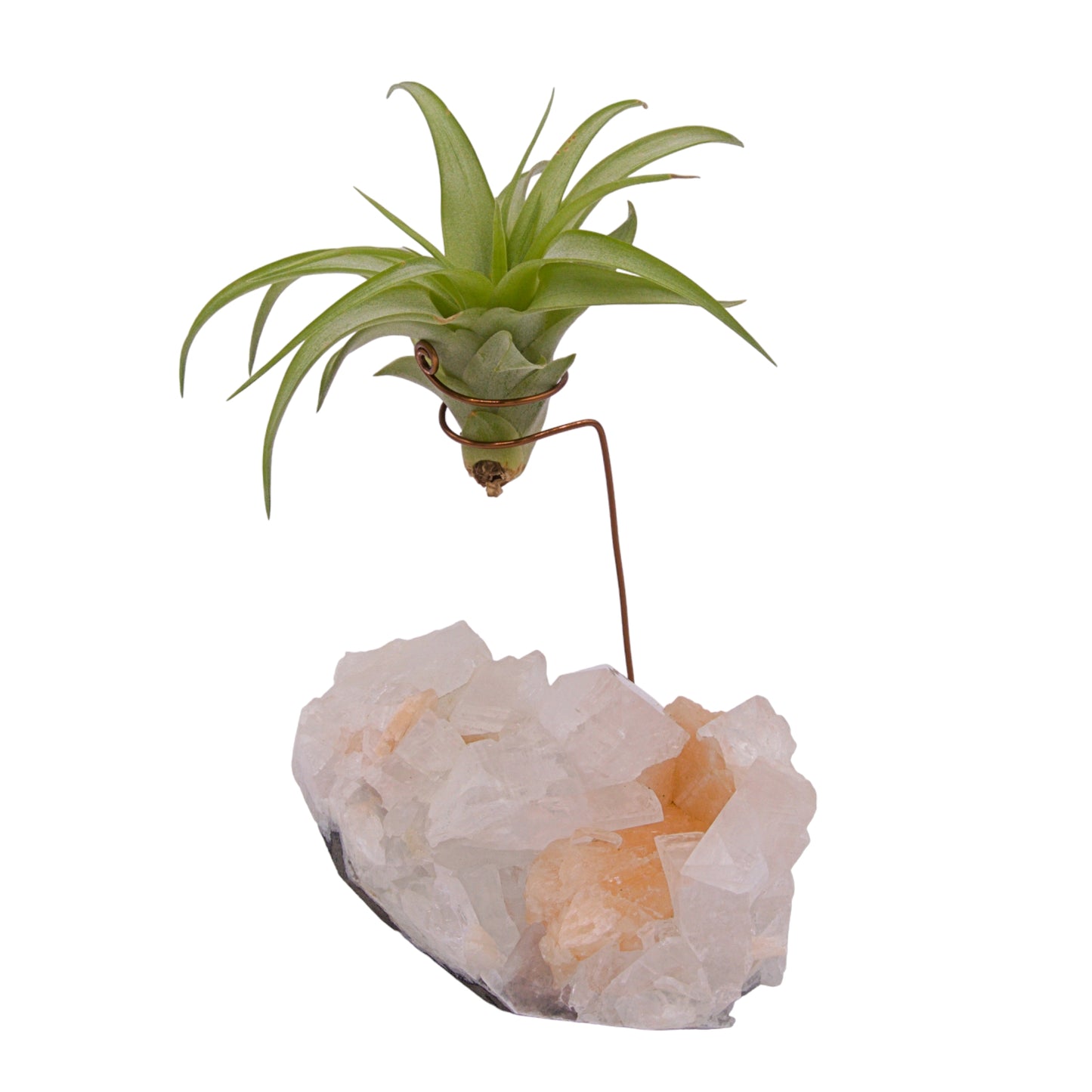 Apophyllite crystal airplant holder