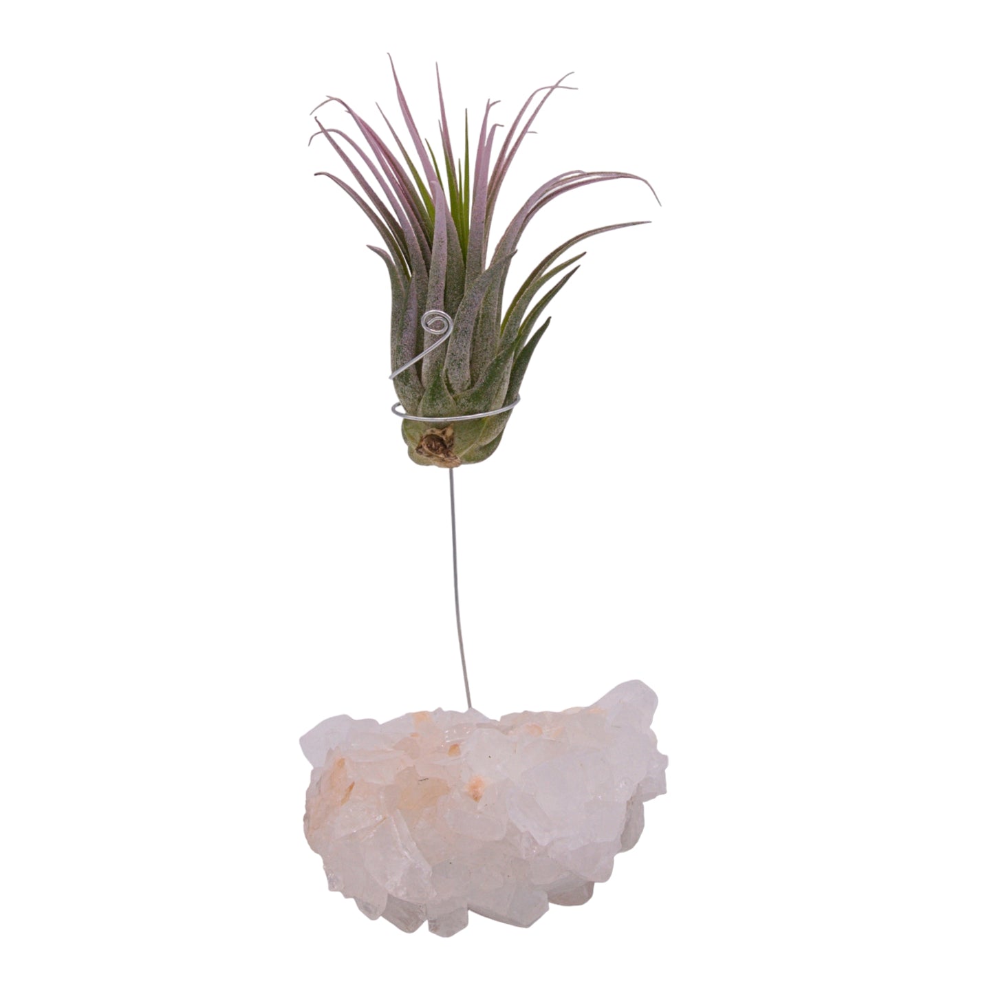 Apophyllite crystal airplant holder