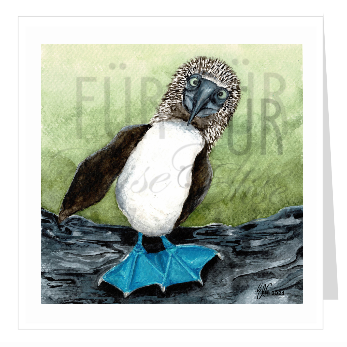 Watercolour greeting card blue-footed booby bird