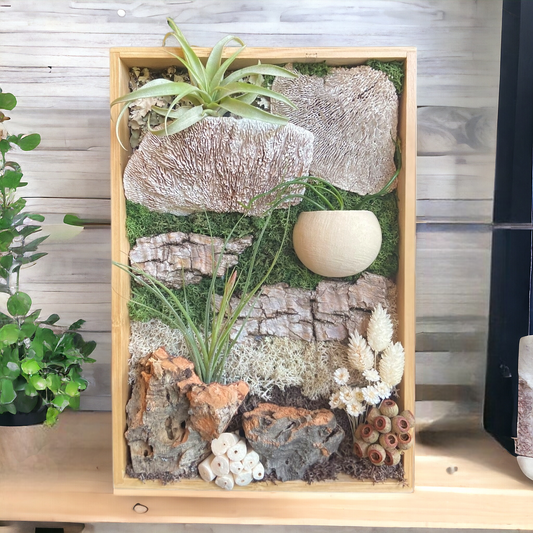 Bamboo box frame filled with preserved moss, wood, bell seed pod, dried mushrooms, 3 airplants