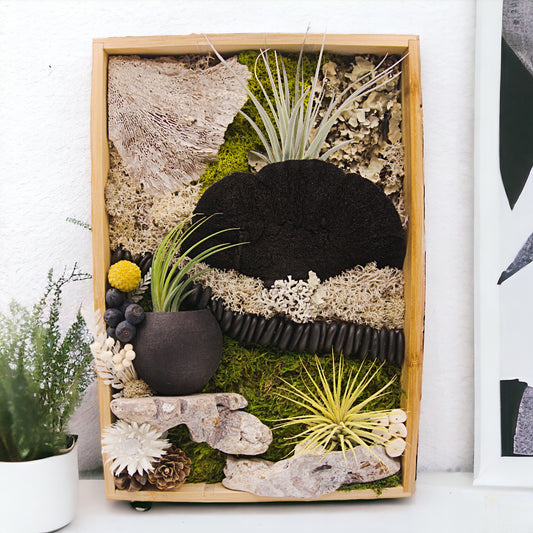 Bamboo frame filled with moss, dried mushrooms, wood, dried flowers, three airplants