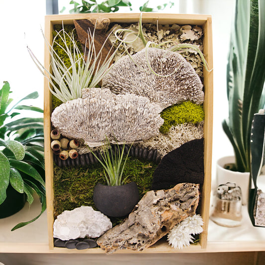 Bamboo rectangular frame filled with moss, dried mushrooms, wood, dried flowers, chalcedony crystal and three airplants