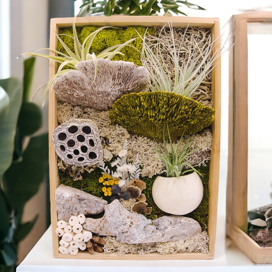 Bamboo rectangular frame filled with moss, dried mushrooms, wood, dried flowers and three airplants