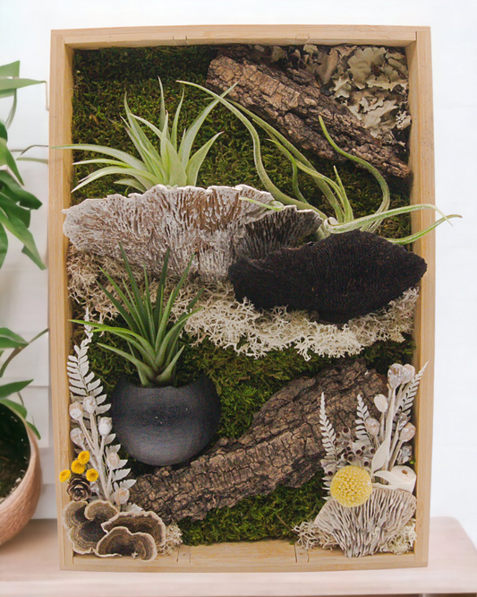 Bamboo Airplant Frames - Black & White Mushrooms