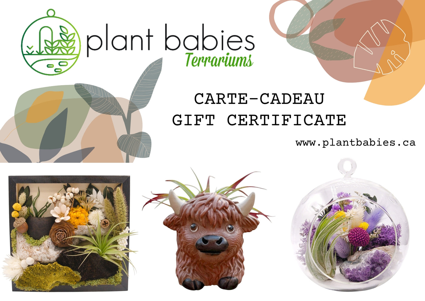 Plant Babies Terrarium Gift Card