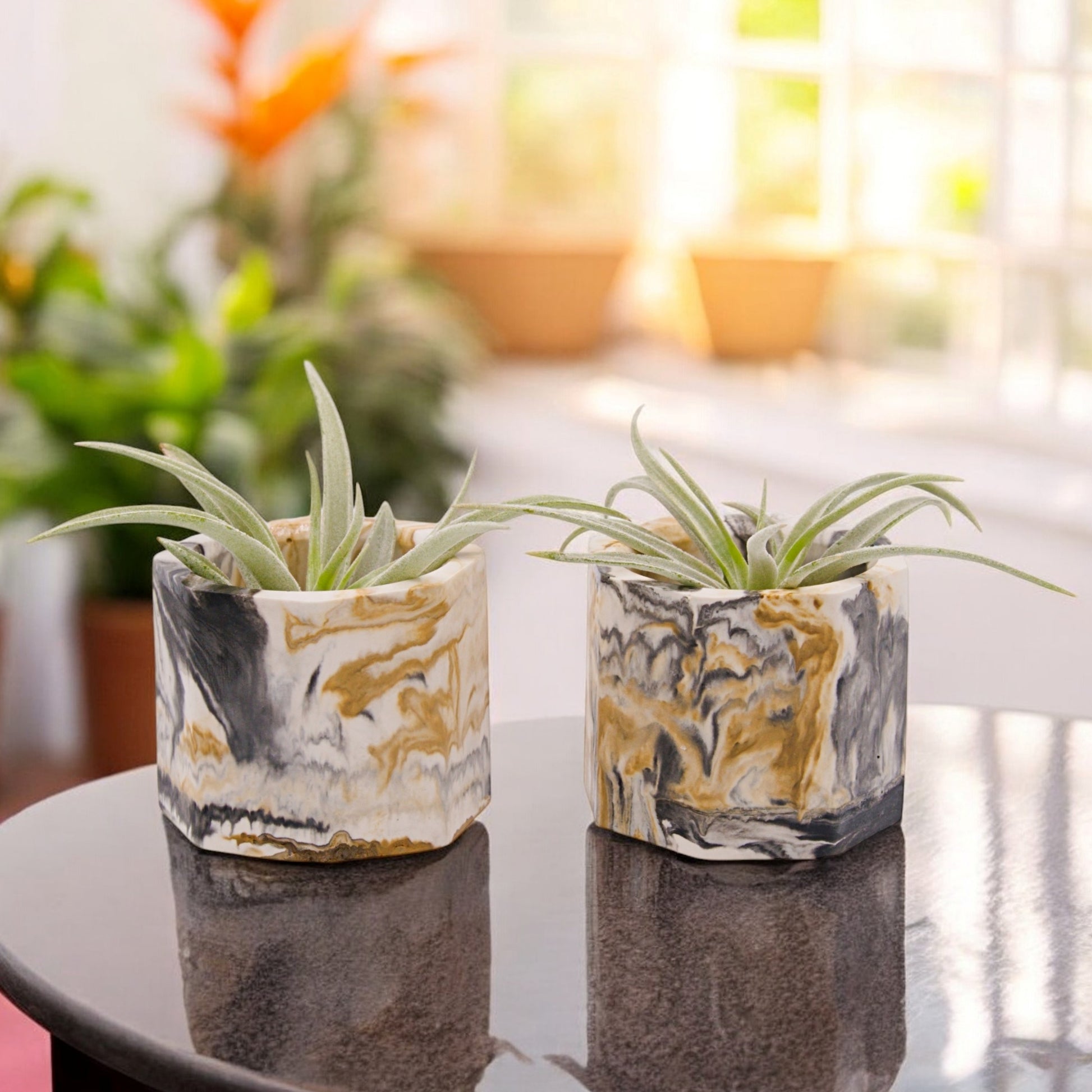 Black and gold marbled hyrostone airplant pots