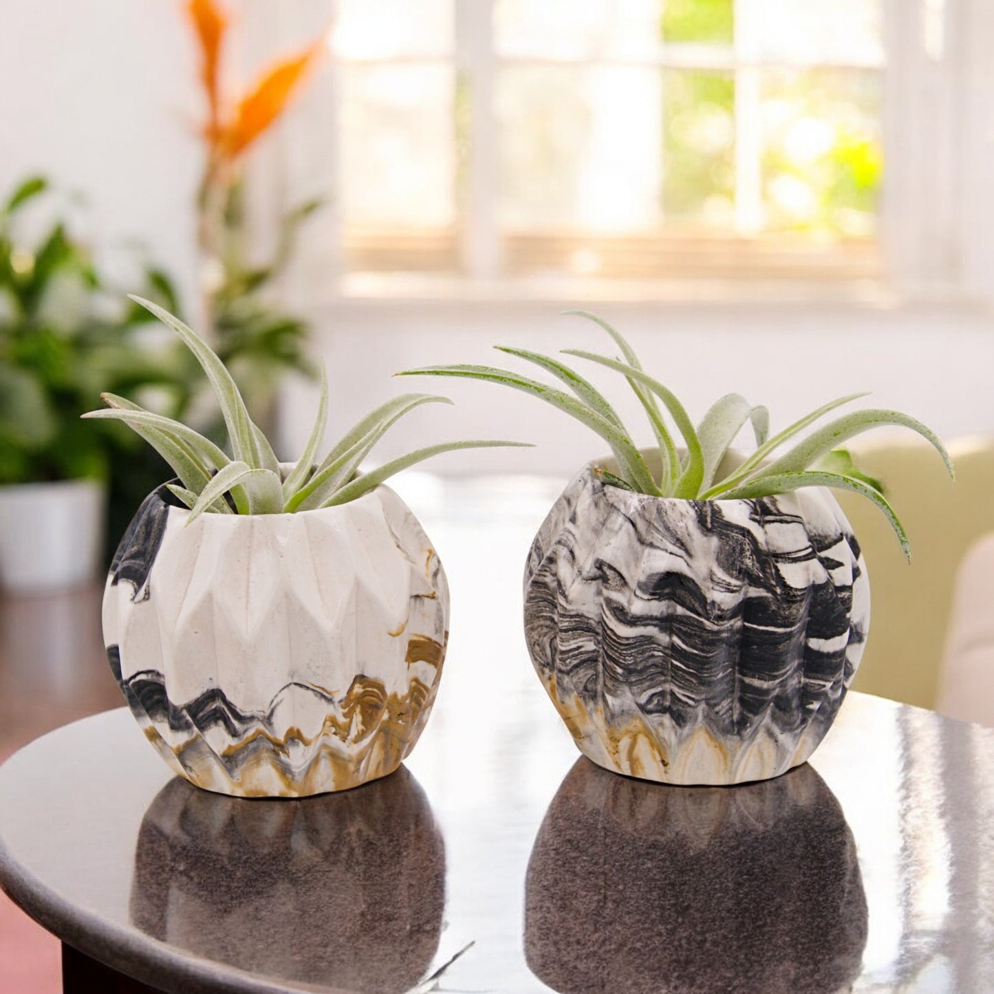 Black and gold marbled hyrostone airplant pots