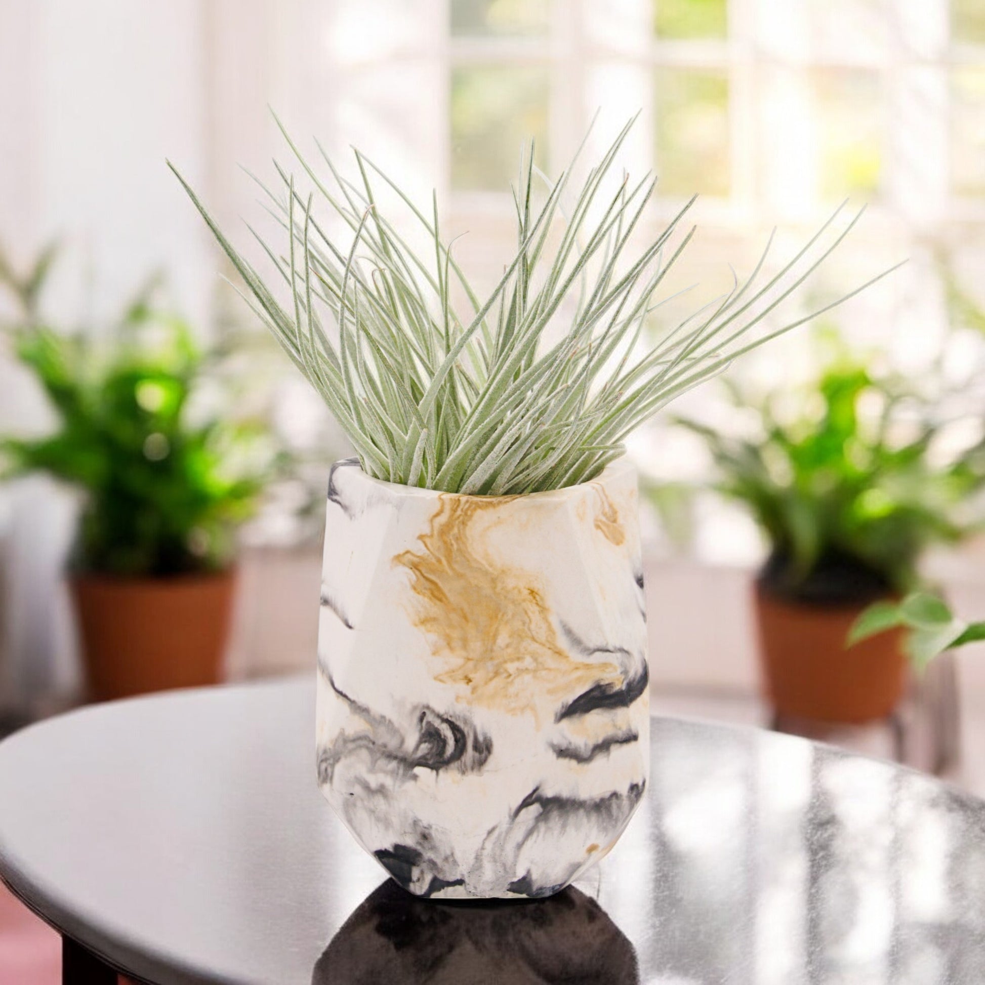 Black and gold marbled hyrostone airplant pots