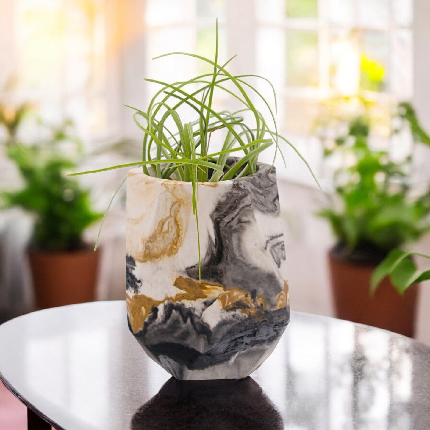 Black and gold marbled hyrostone airplant pots