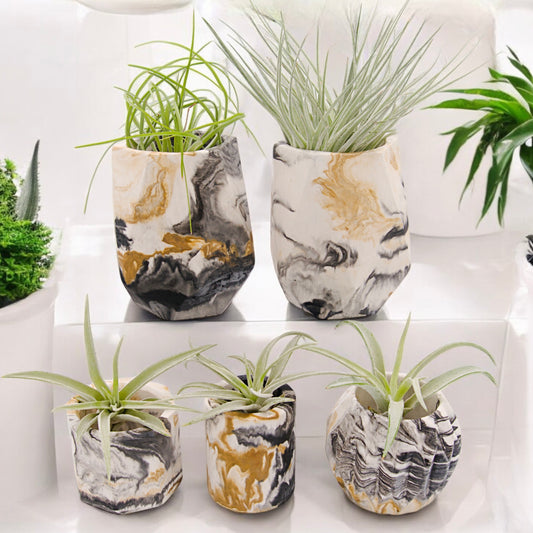 Black and gold marbled hyrostone airplant pots