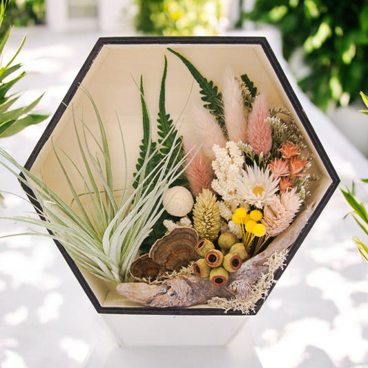 Airplant Art Frames - Hexagon Pink Flowers
