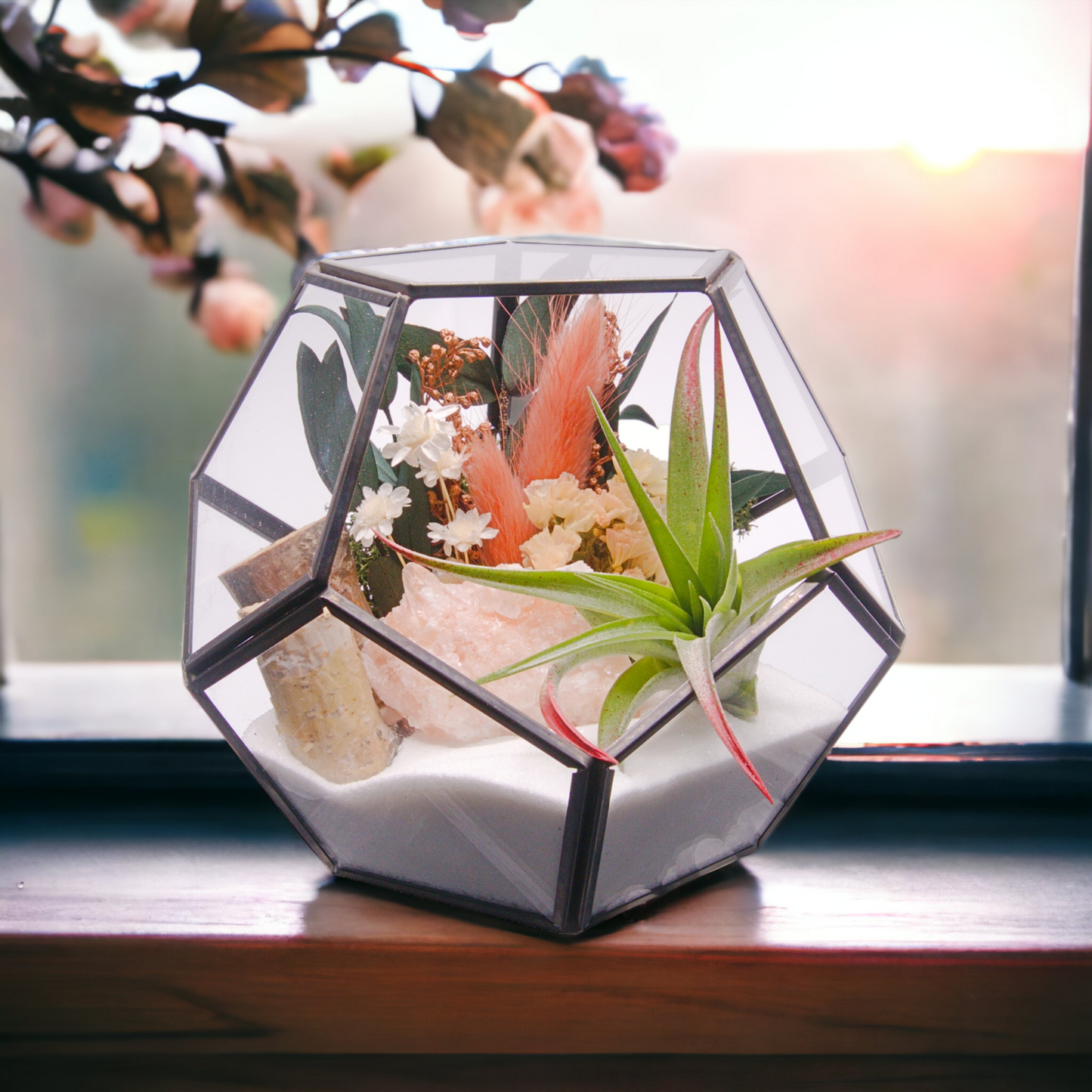 Black Victorian bowl terrarium with airplant, sand, dried flowers, moss, wood and tri-coloured calcite crystal