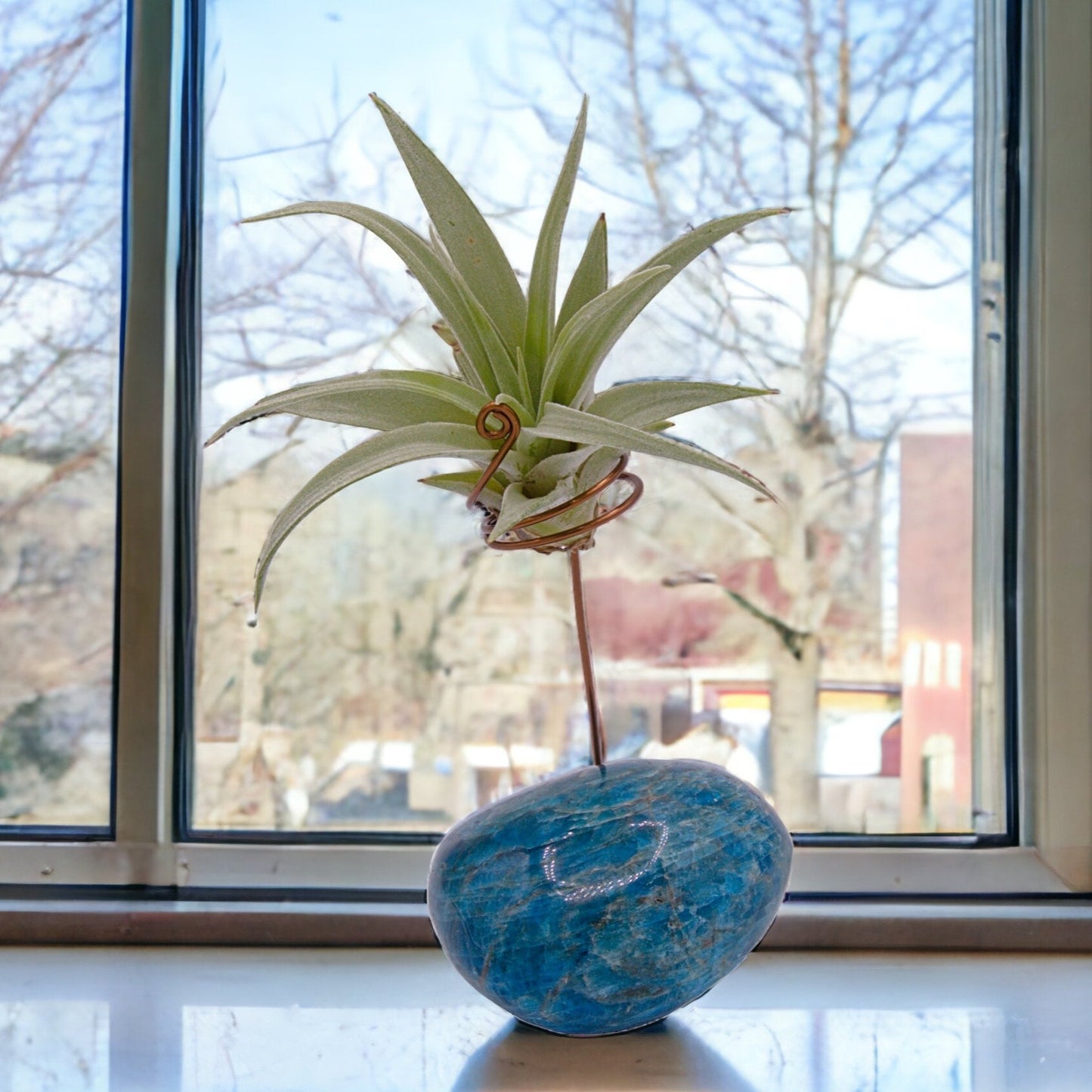 Blue apatite palm crystal airplant holder