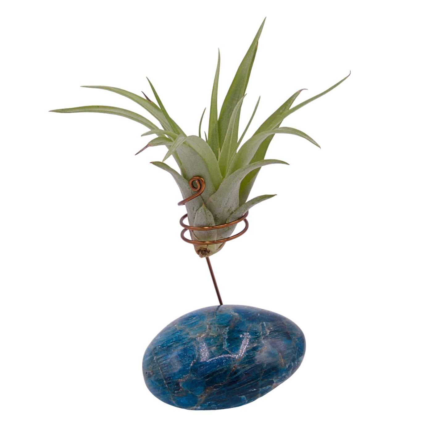 Blue apatite palm crystal airplant holder