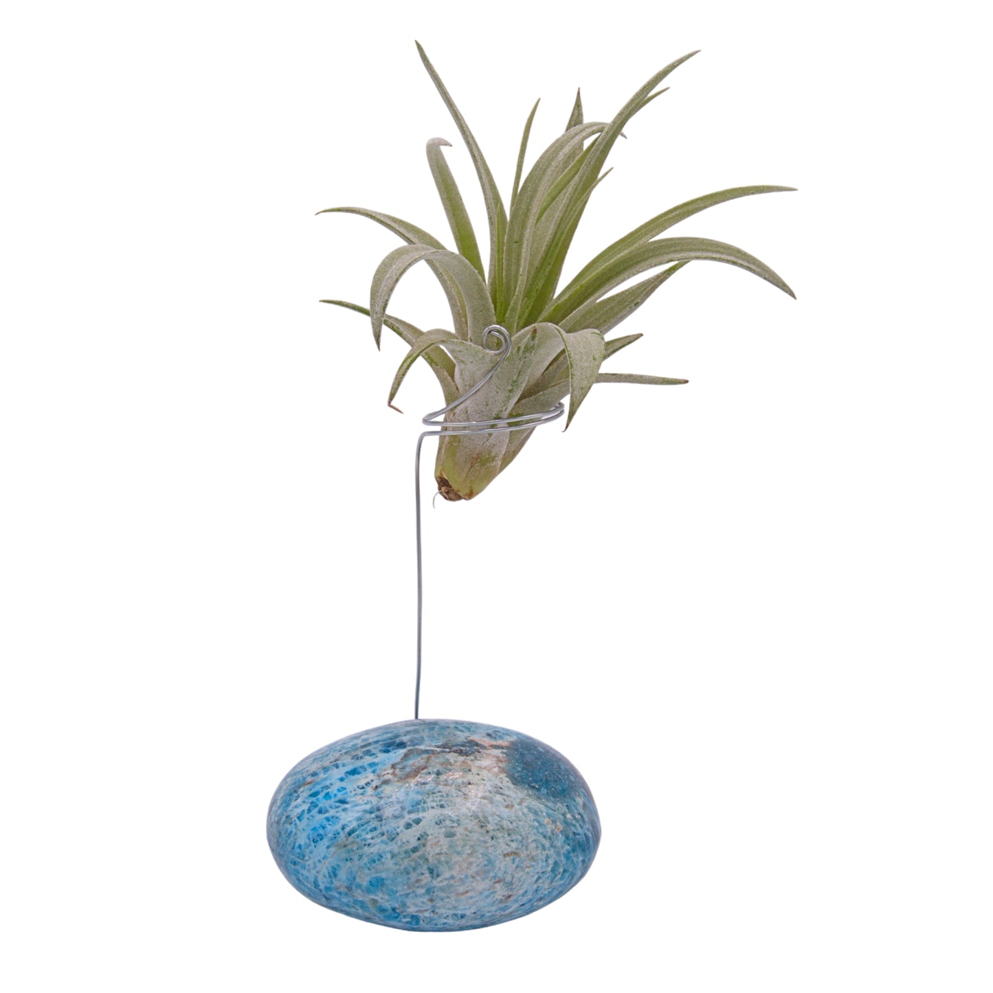 Blue apatite palm crystal airplant holder