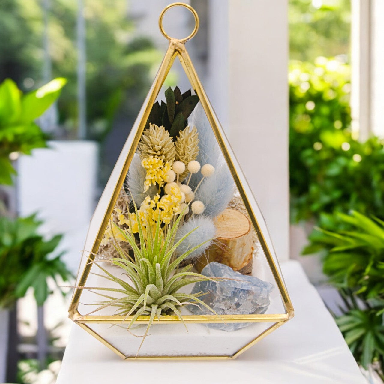 Terrarium Victorien Petit avec une plante aérienne - bleu