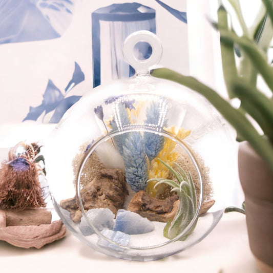 Glass bubble terrarium with airplant, dried flowers and blue calcite crystals