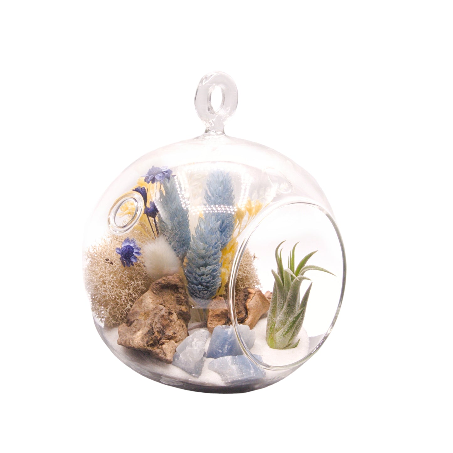 Glass bubble terrarium with airplant, dried flowers and blue calcite crystals