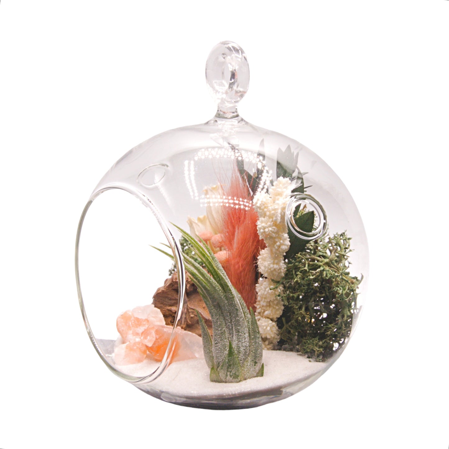 Glass bubble airplant terrarium with dried flowers and tri-coloured crystals