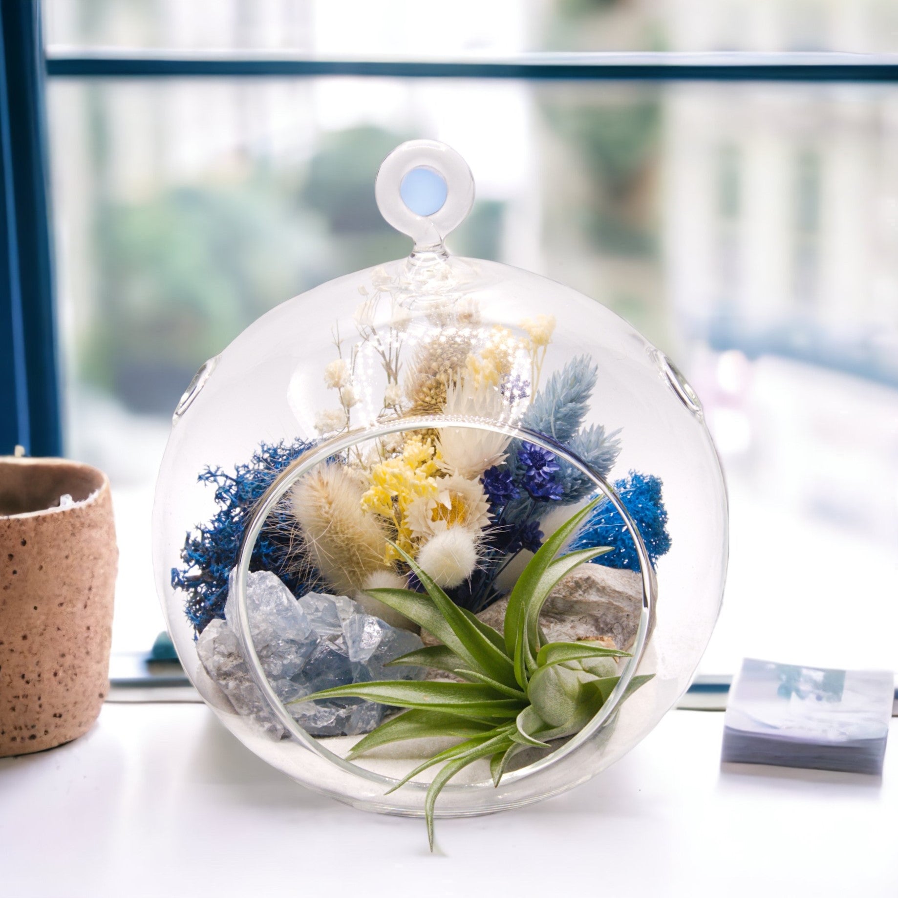 Glass bubble airplant terrarium with dried flowers and a celestite crystal