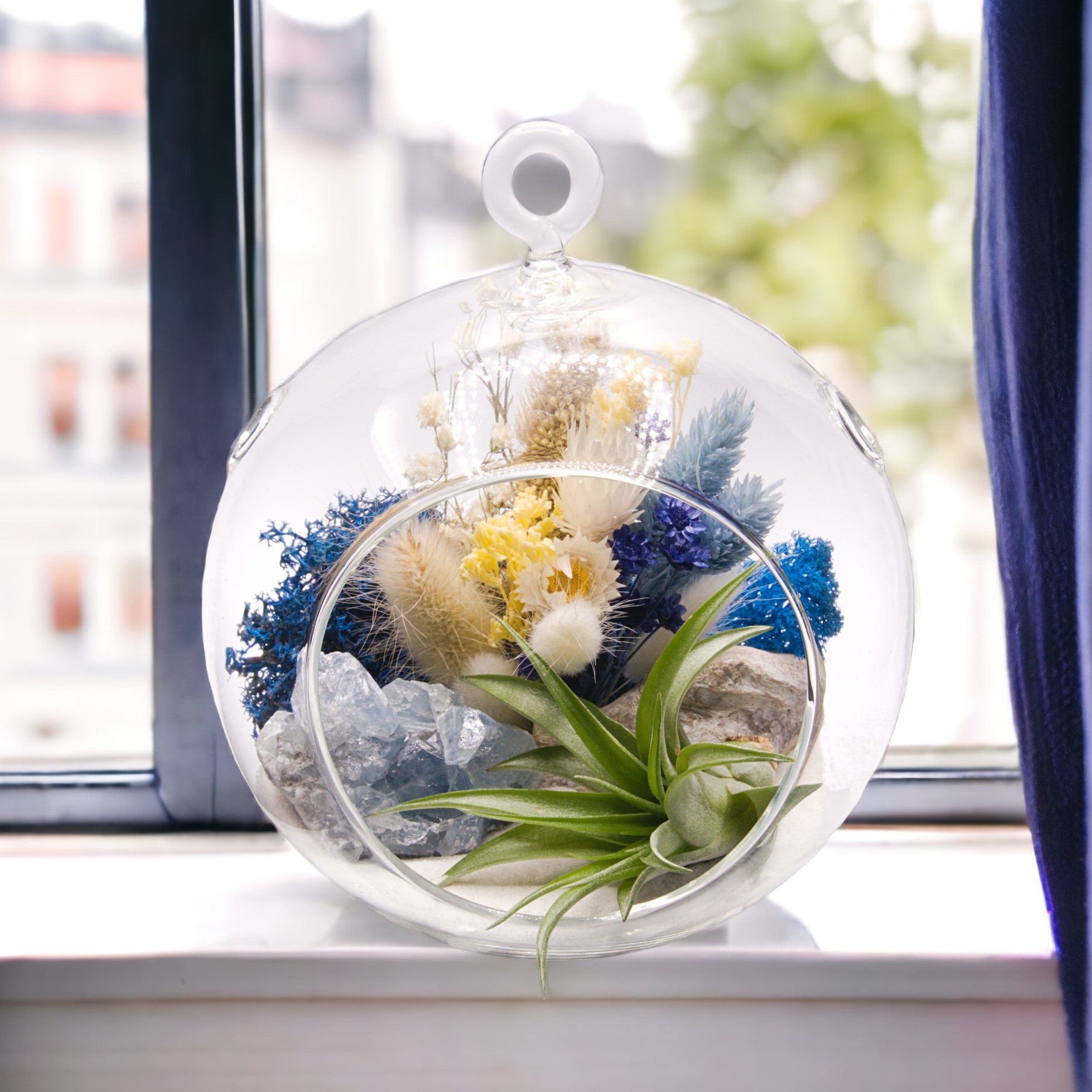 Glass bubble airplant terrarium with dried flowers and a celestite crystal