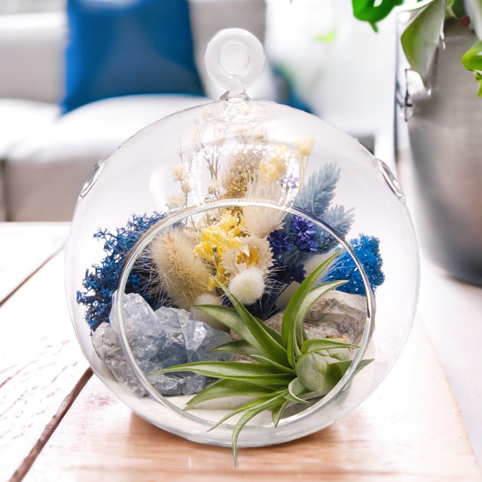 Glass bubble airplant terrarium with dried flowers and a celestite crystal