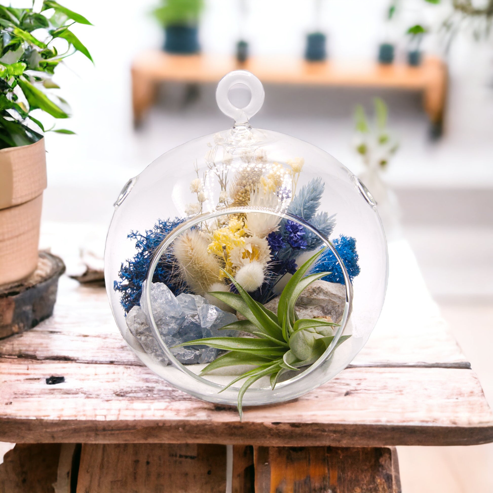 Glass bubble airplant terrarium with dried flowers and a celestite crystal