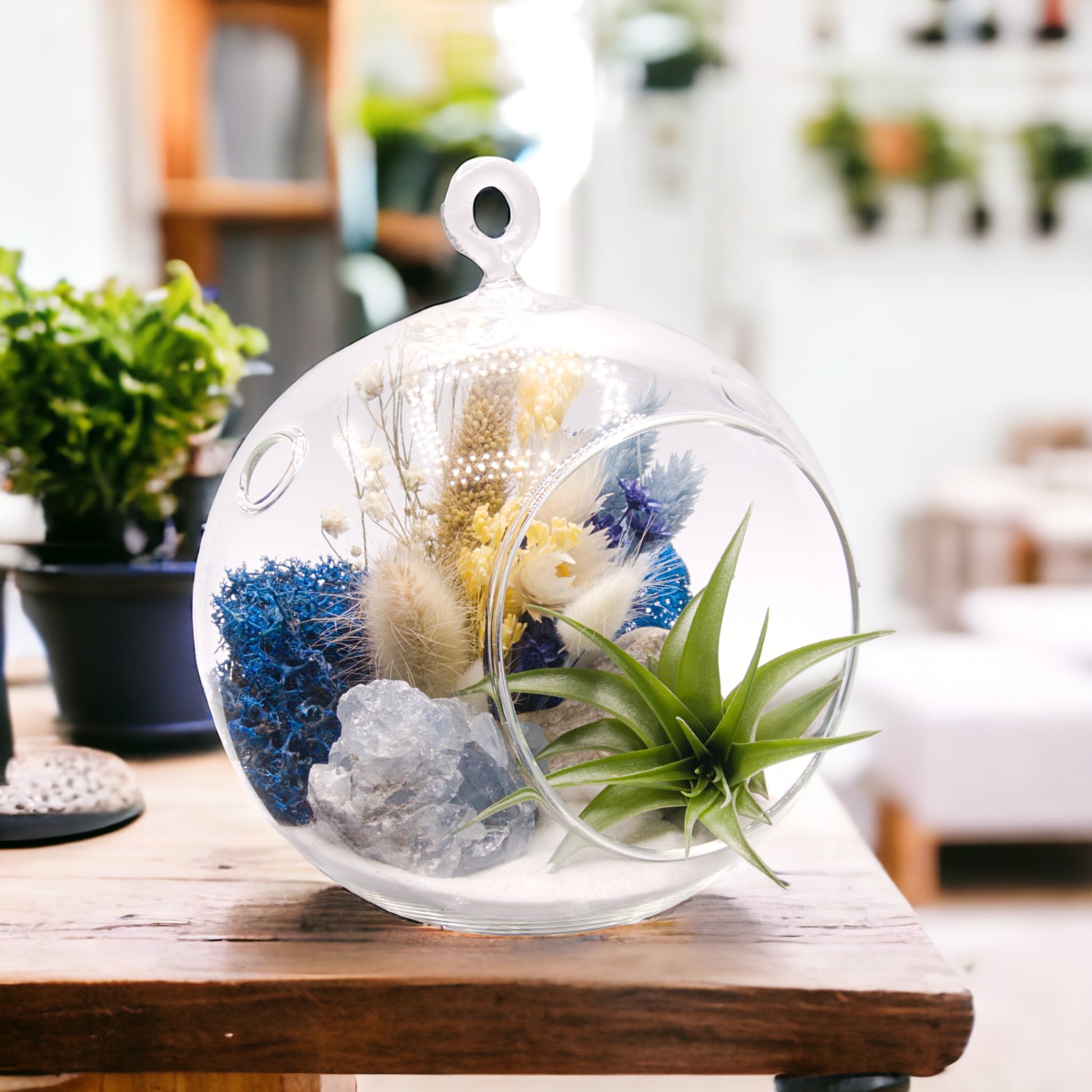 Glass bubble airplant terrarium with dried flowers and a celestite crystal