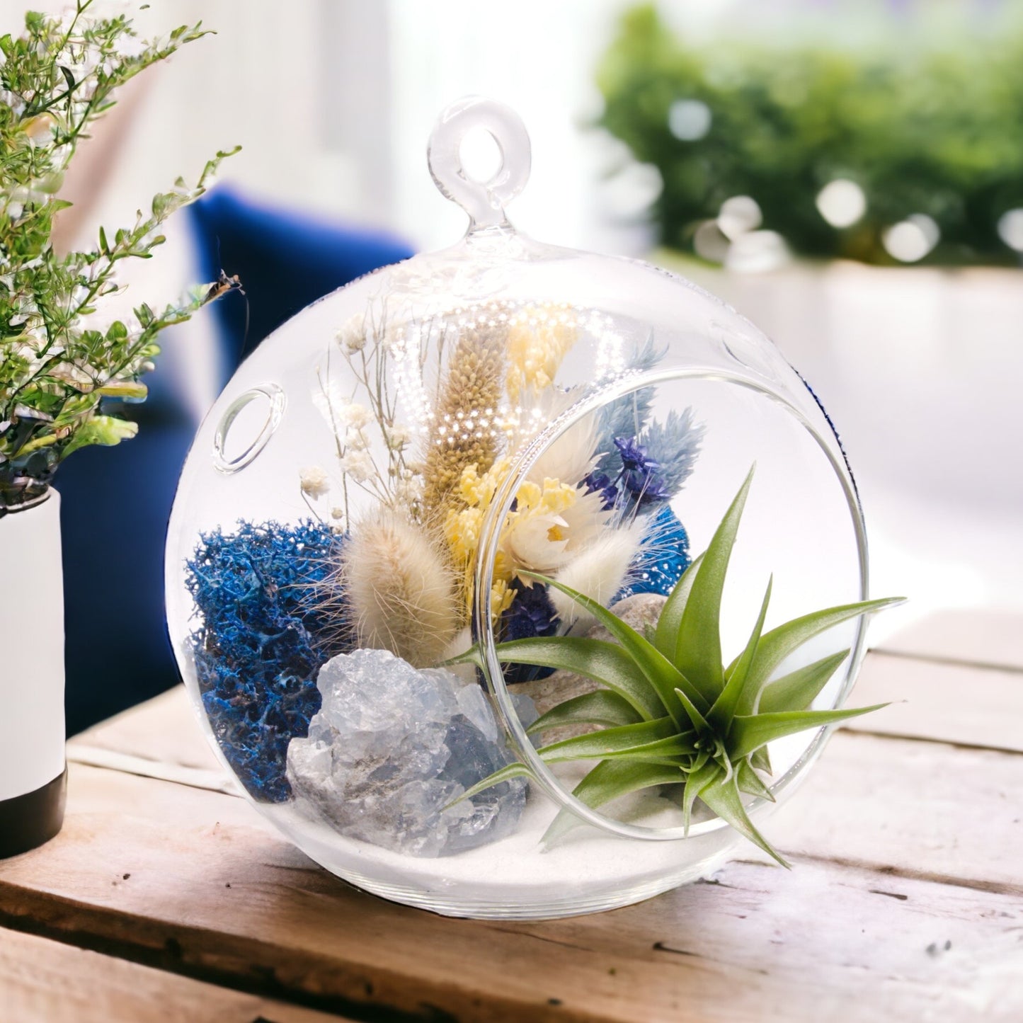 Glass bubble airplant terrarium with dried flowers and a celestite crystal