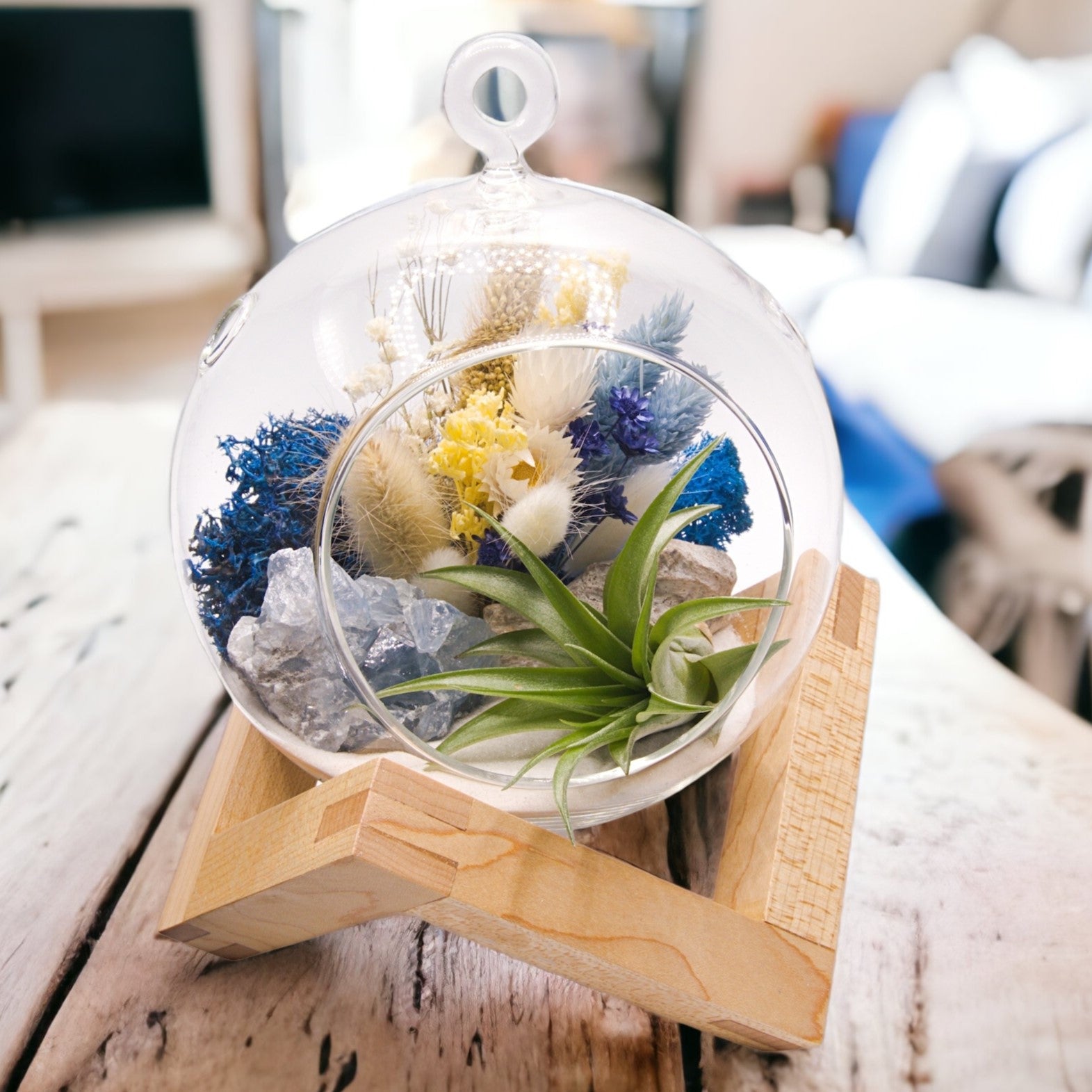 Glass bubble airplant terrarium with dried flowers and a celestite crystal