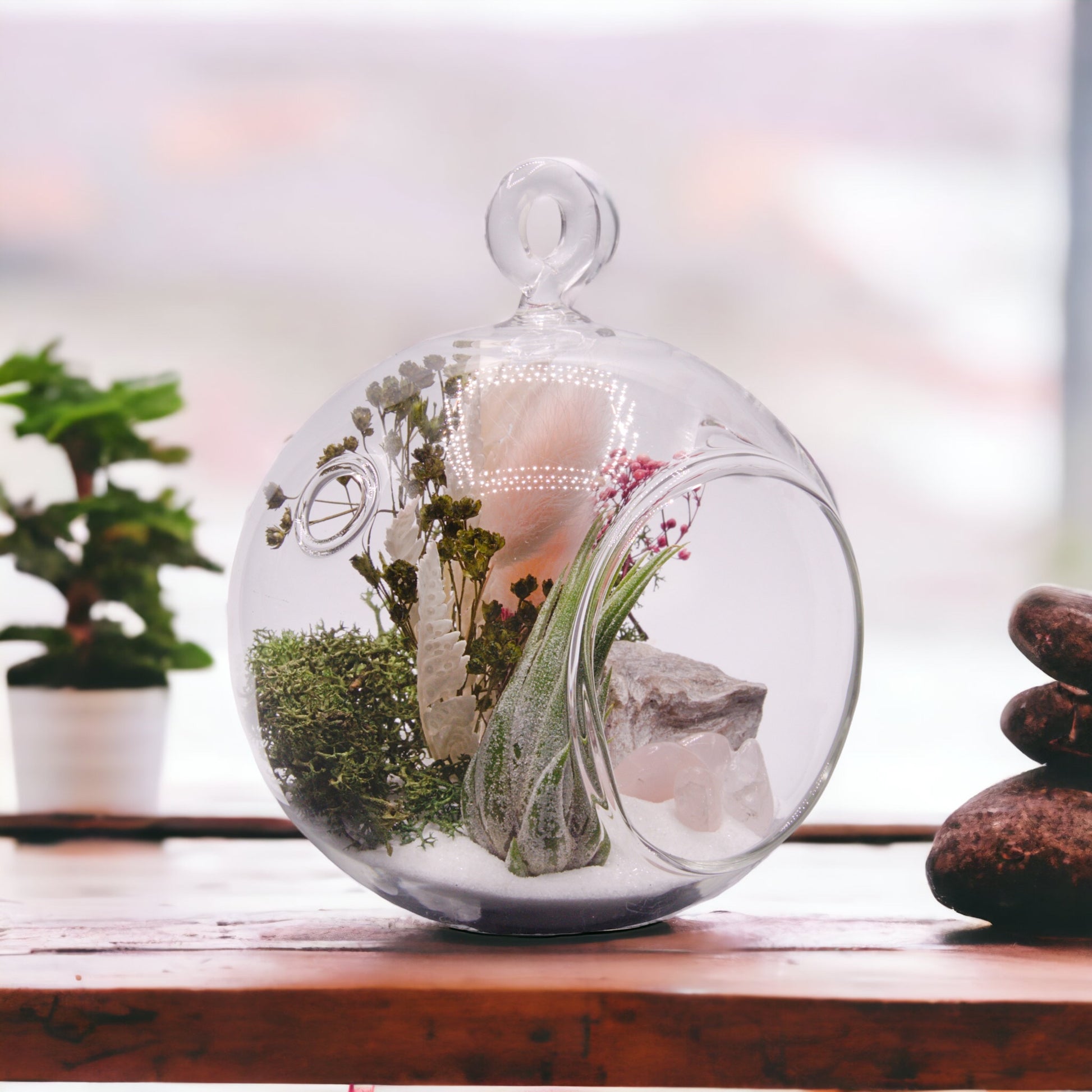 Glass bubble airplant terrarium with dried flowers and rose quartz crystals