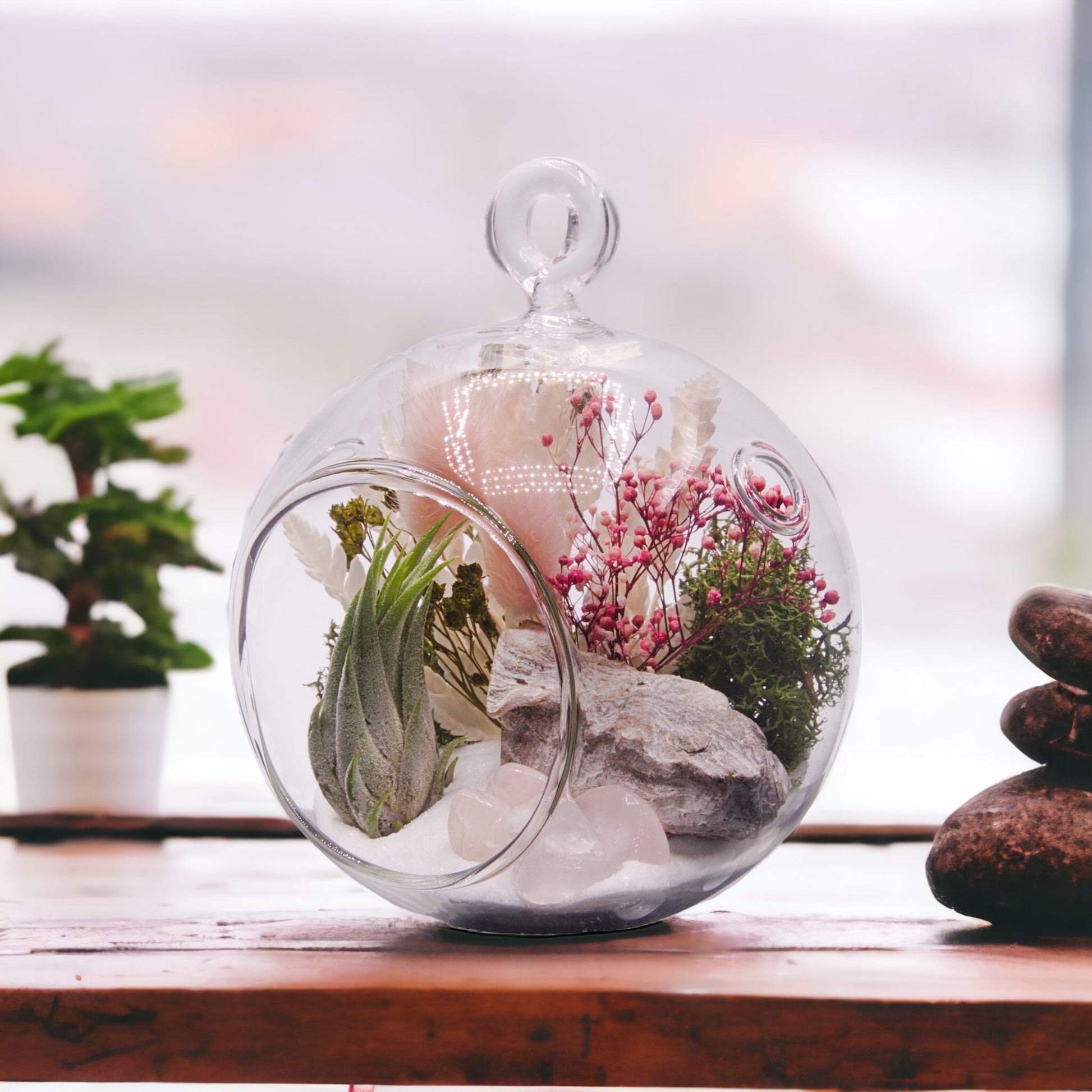 Glass bubble airplant terrarium with dried flowers and rose quartz crystals