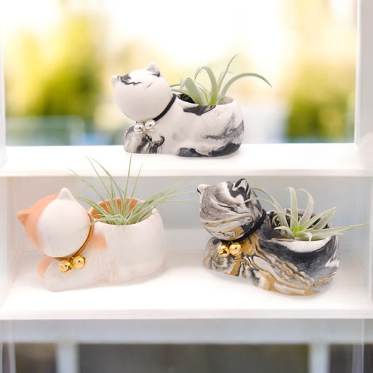 Handmade hydrostone pot in the shape of a cat with a faux-leather collar and bells