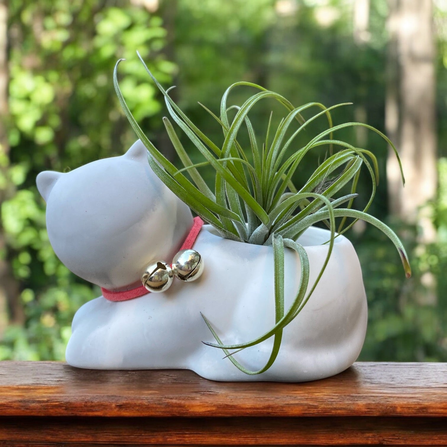 cat air plant holder Tilly the Cat Airplant Pot – Plant Babies Terrariums