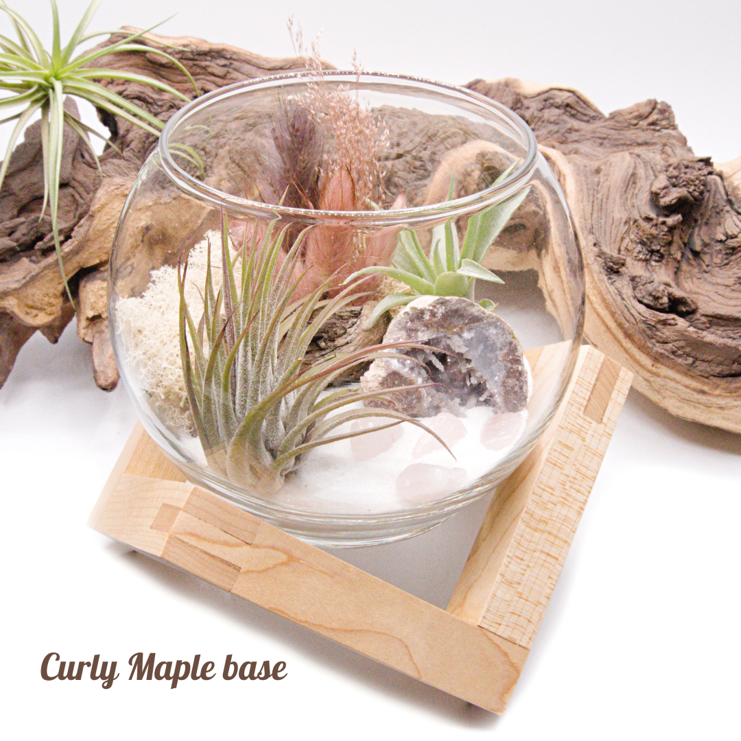 Wooden Displays - Large