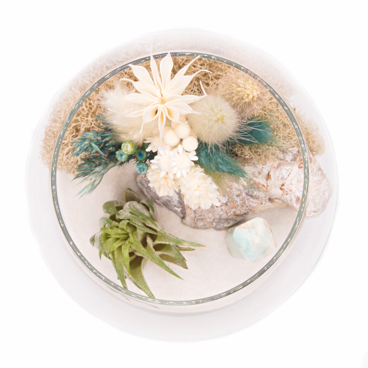 Terrarium à bol avec une plante aérienne - Calcite des Caraïbes