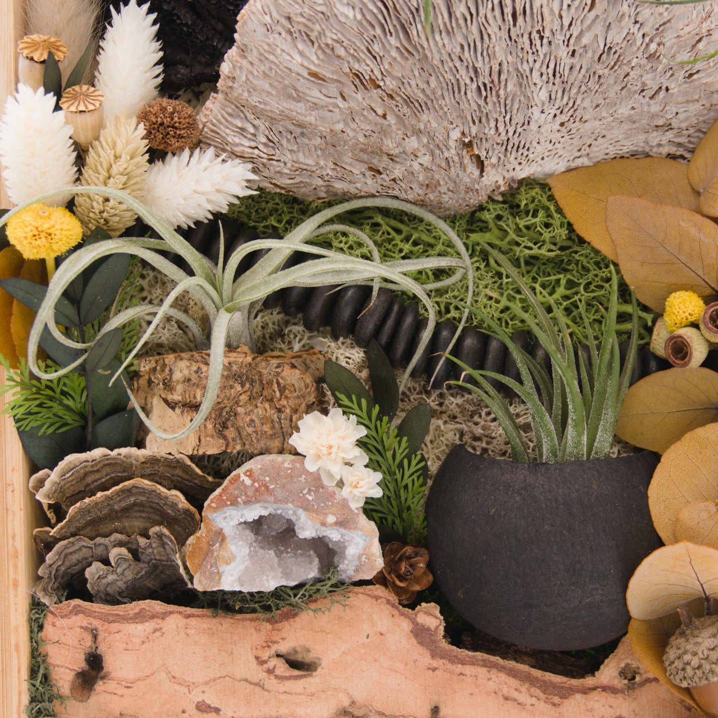 Cadre de plante aérienne en bamboo - Champignons noir et blancs avec un cristal