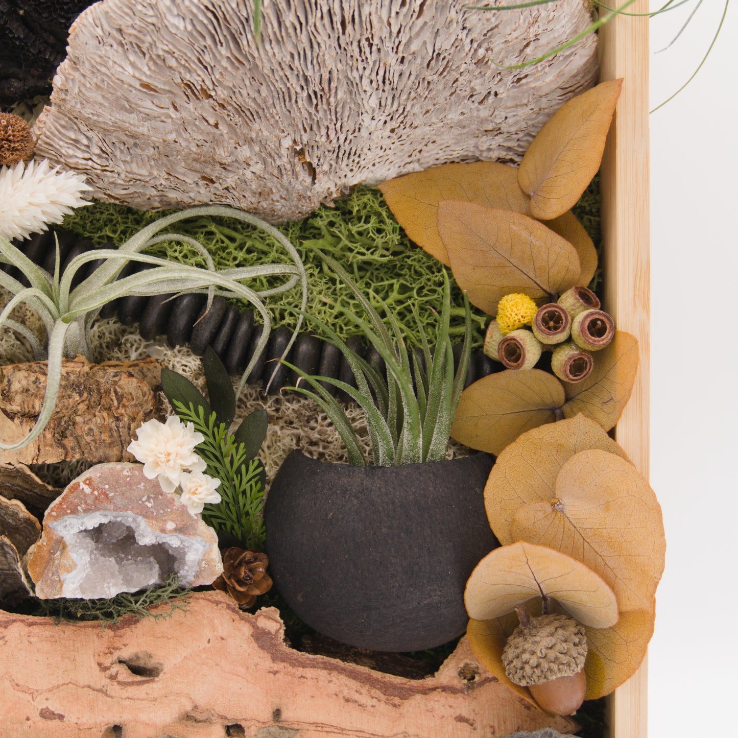 Cadre de plante aérienne en bamboo - Champignons noir et blancs avec un cristal