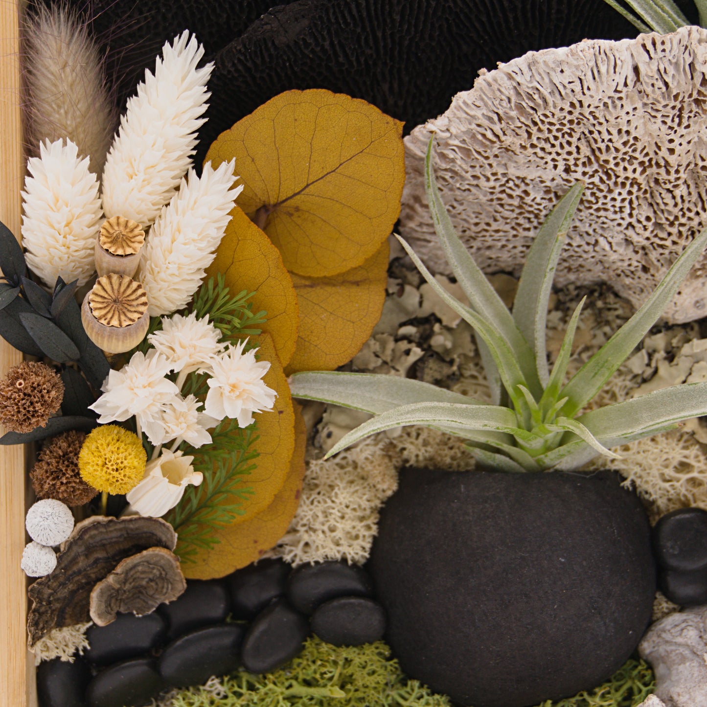 Bamboo Airplant Frames - Black & White Mushrooms
