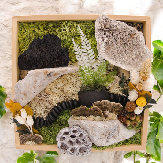 Cadre paysage en mousse