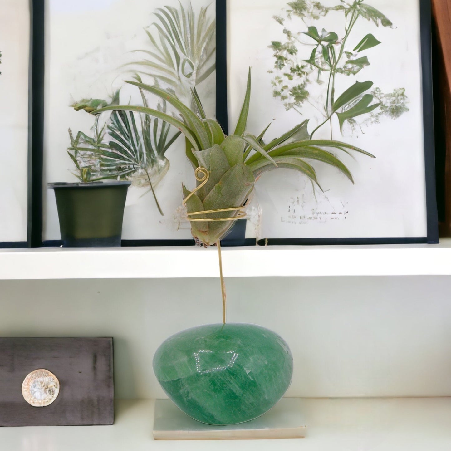 Fluorite palm crystal airplant holder
