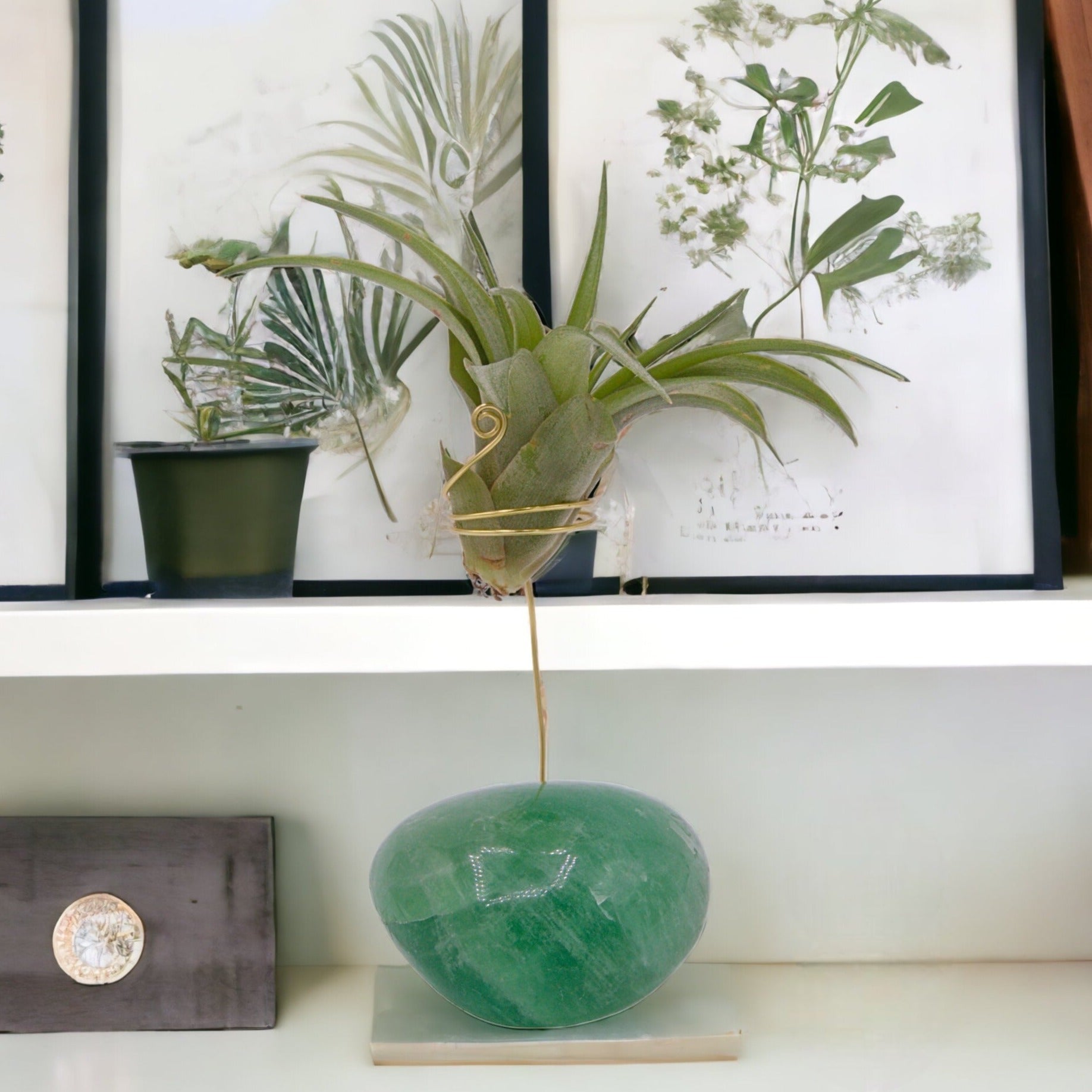 Fluorite palm crystal airplant holder