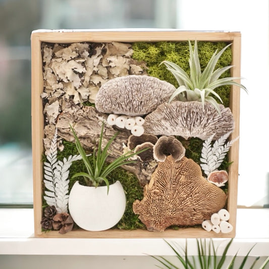 Airplant Art Frame - Bamboo Forest Moss